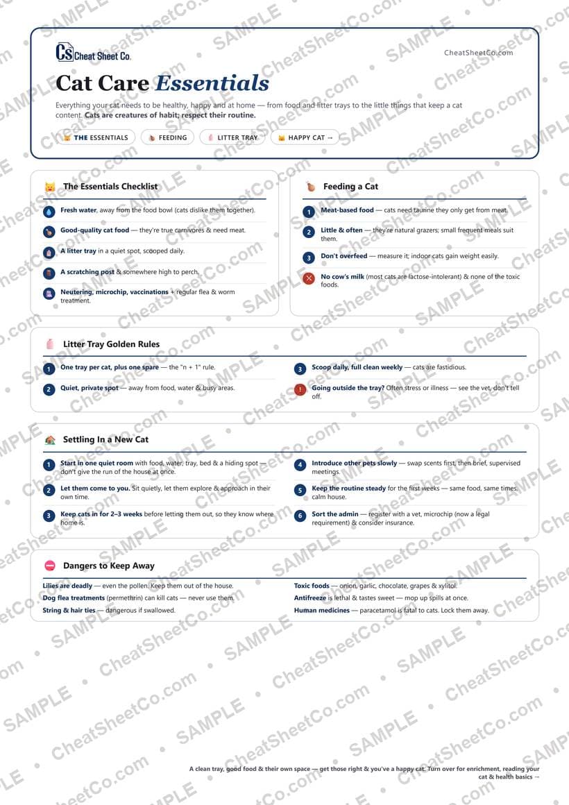 Cat Care Essentials preview