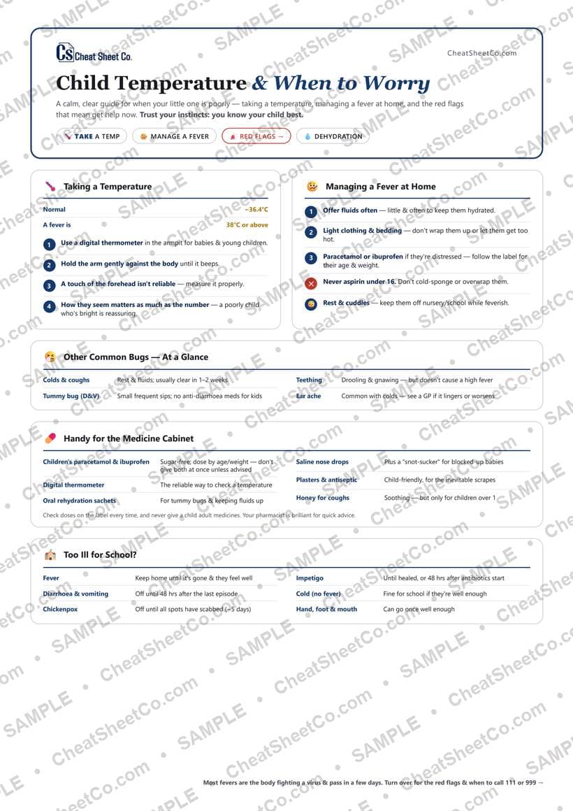 Child Temperature & When to Worry preview