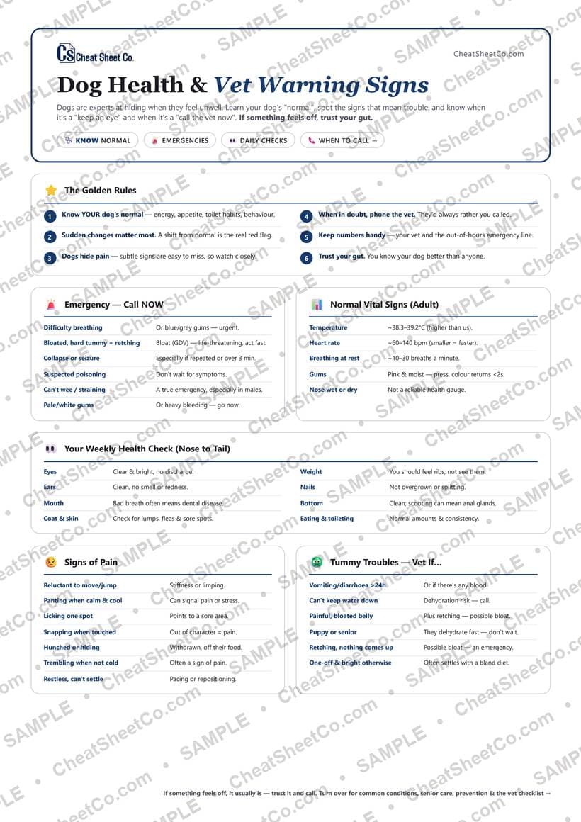 Dog Health & Vet Warning Signs preview