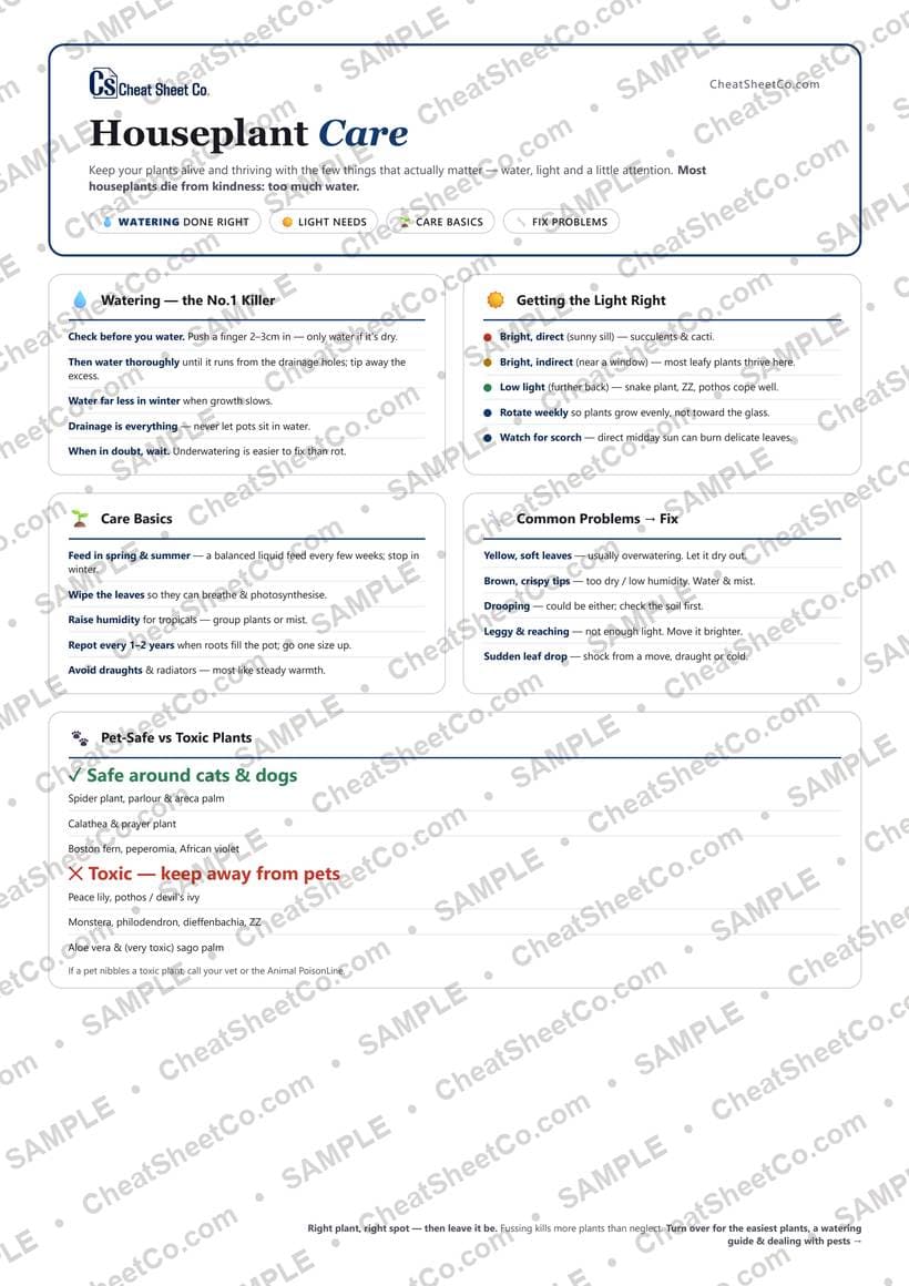 Houseplant Care preview