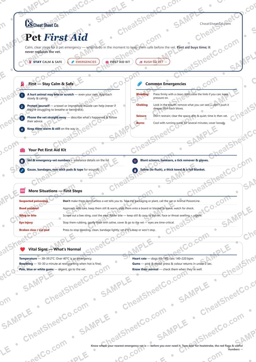 Pet First Aid preview